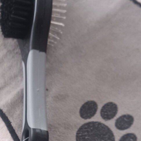 PET BRUSH!