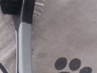 PET BRUSH!