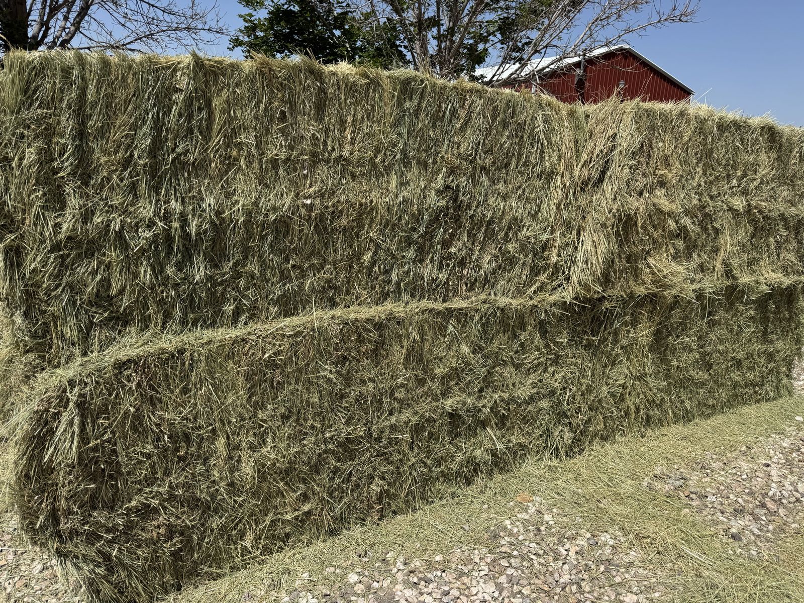Grass hay