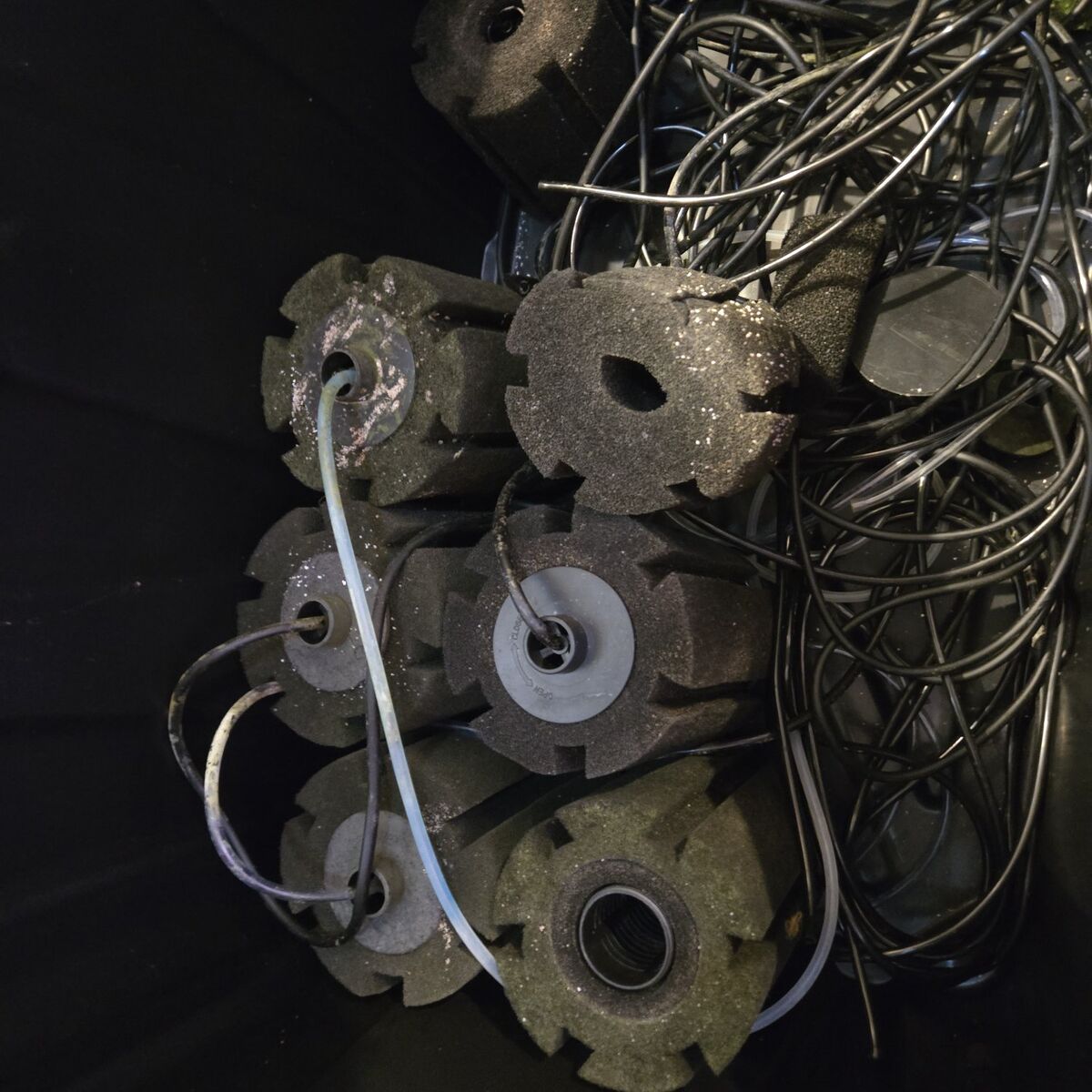 sponge filters 80 gallon