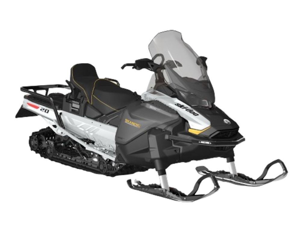 2025 Ski-Doo Skandic LE 600R E-TEC Catalyst Grey a