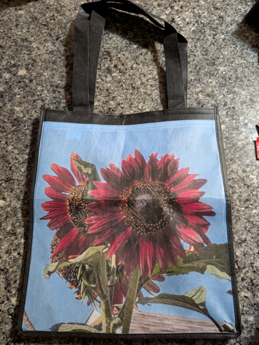 Reusable shopping bags