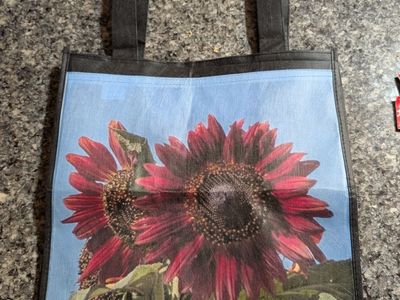 Reusable shopping bags