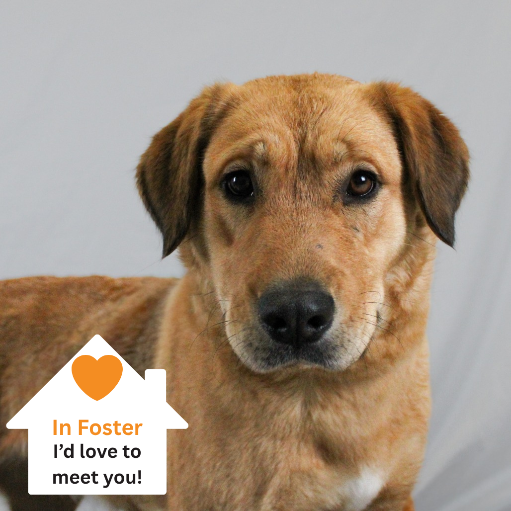 Hello my name is Mable