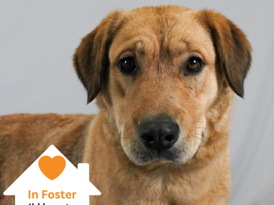 Hello my name is Mable