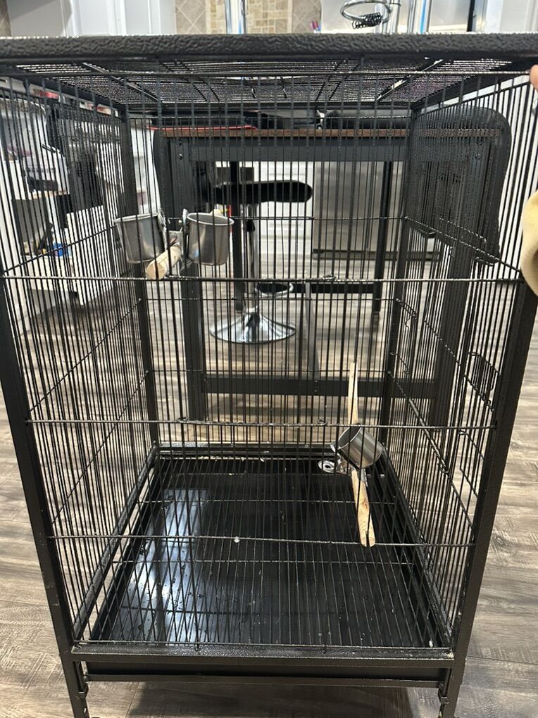 Bird Cage $100