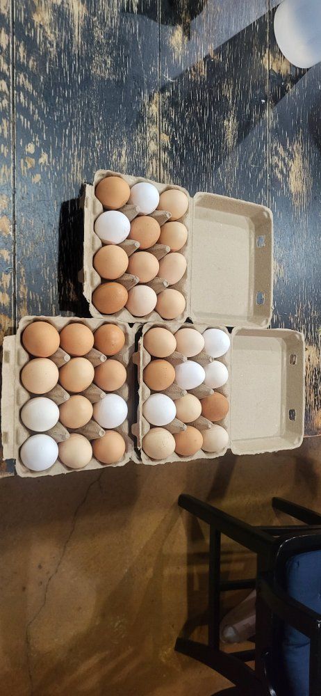 Fresh Farm Eggs