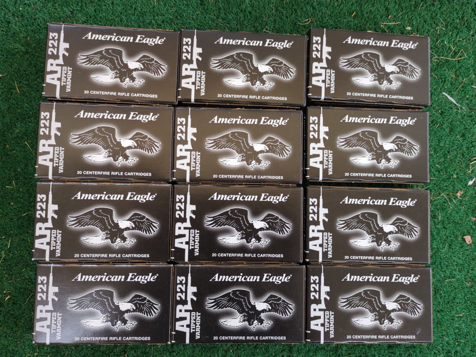 .223 Ammo Lot w/ Ammo Can – Federal, Hornady, Black Hills, American Eagle