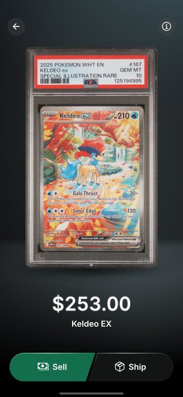 Main image 7
