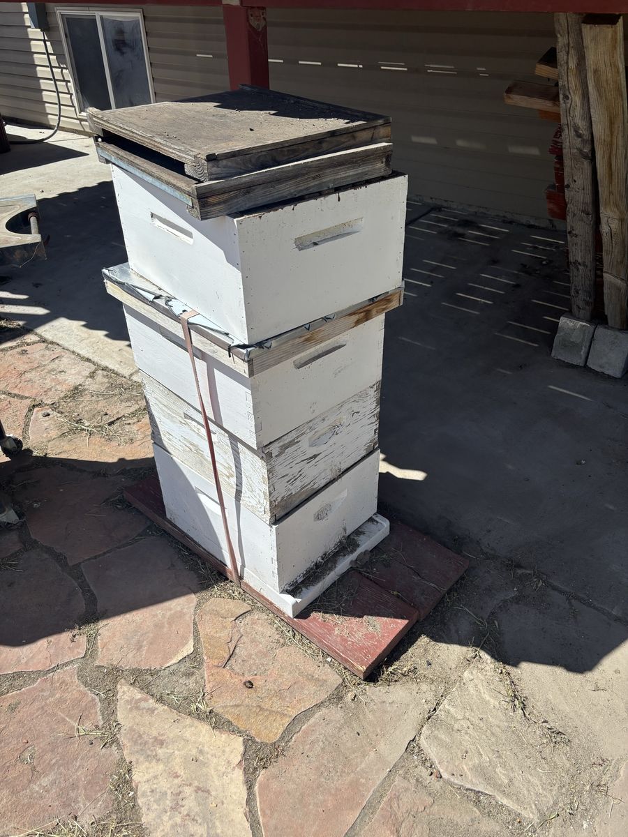 Beehives