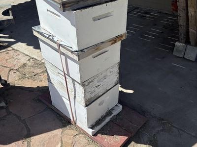 Beehives