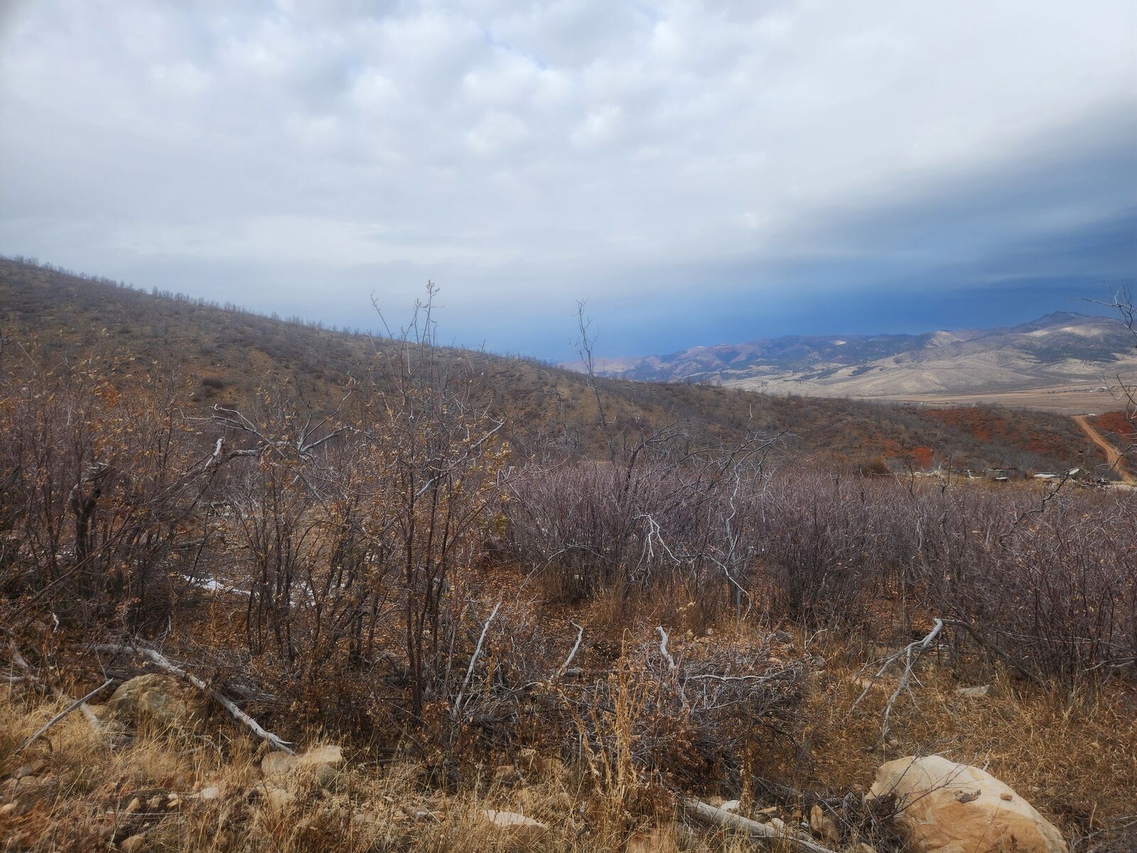 Gorgeous Lake Rockport Estates Property