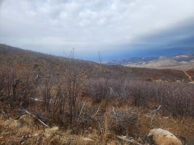 Gorgeous Lake Rockport Estates Property