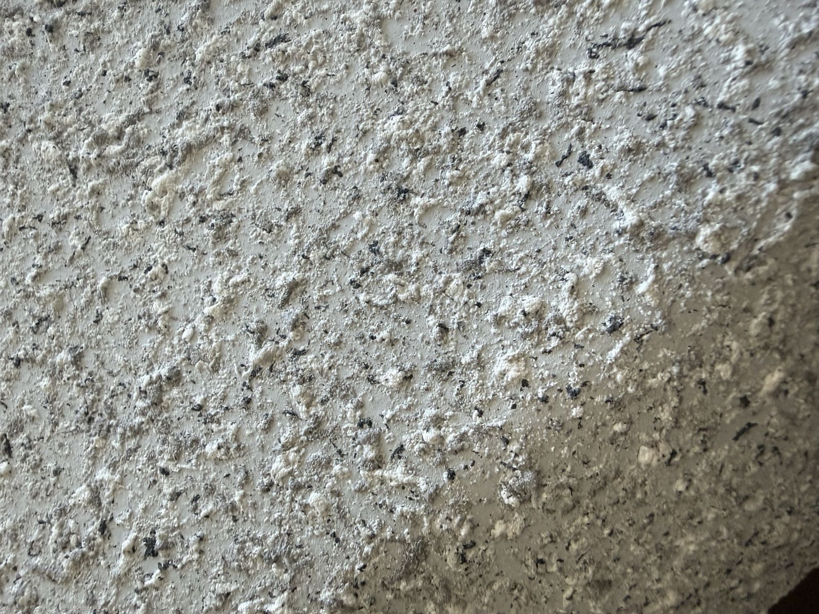 Main image 6
