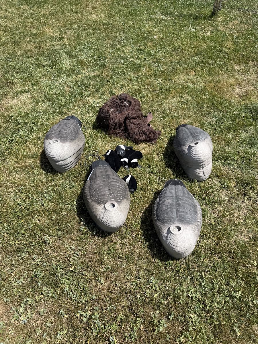 2 dozen GHG goose shells