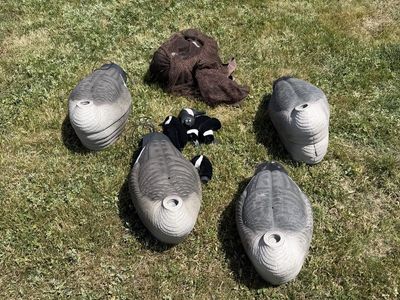 2 dozen GHG goose shells