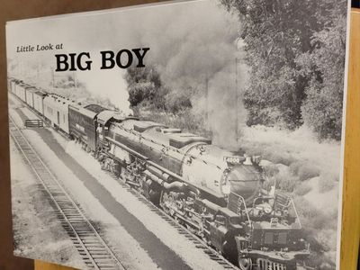 Little Look at Big Boy Train Book
