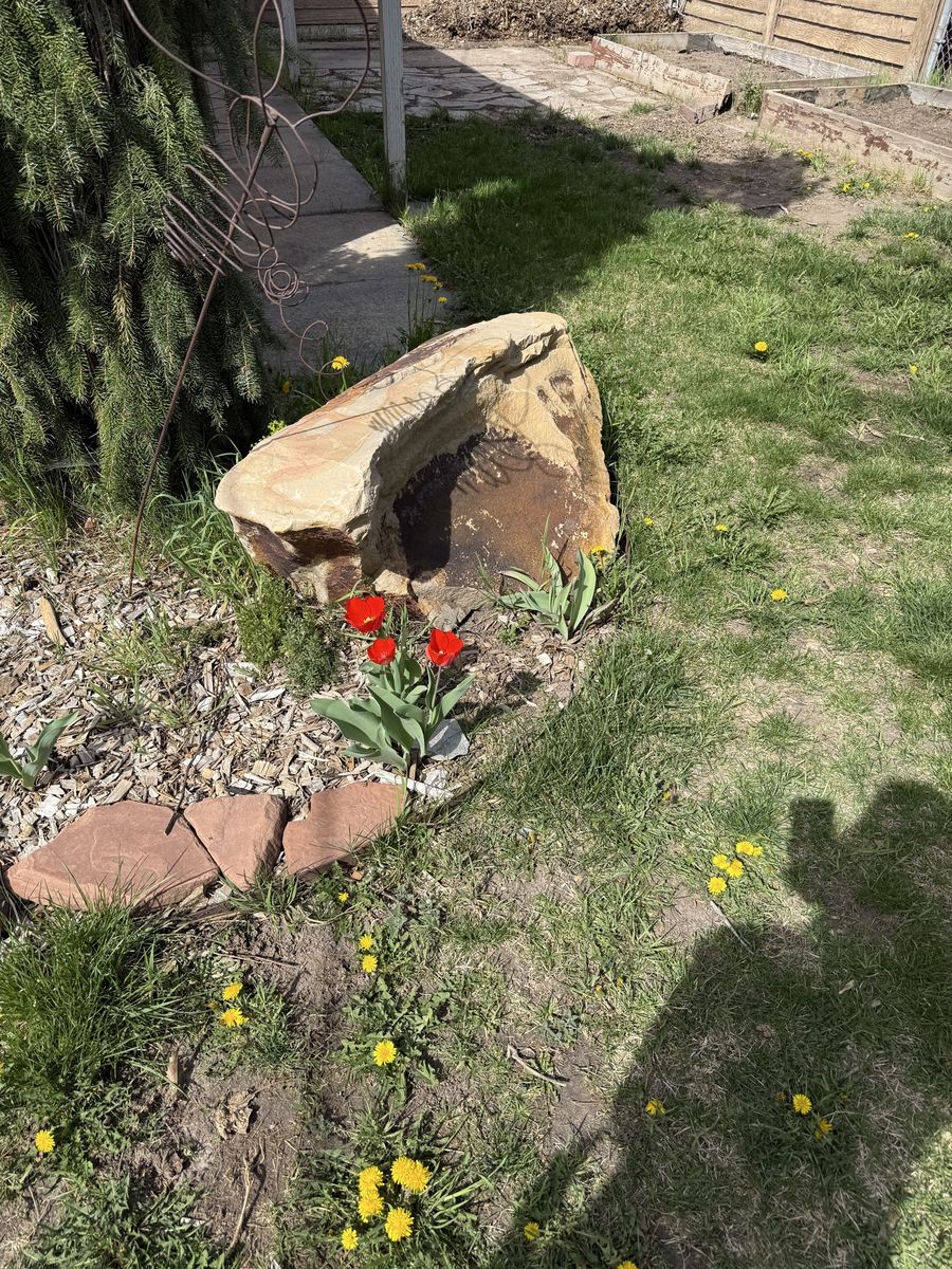 Free landscaping rocks