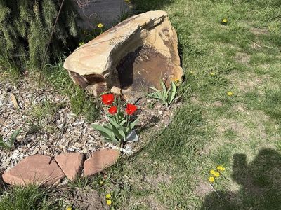 Free landscaping rocks