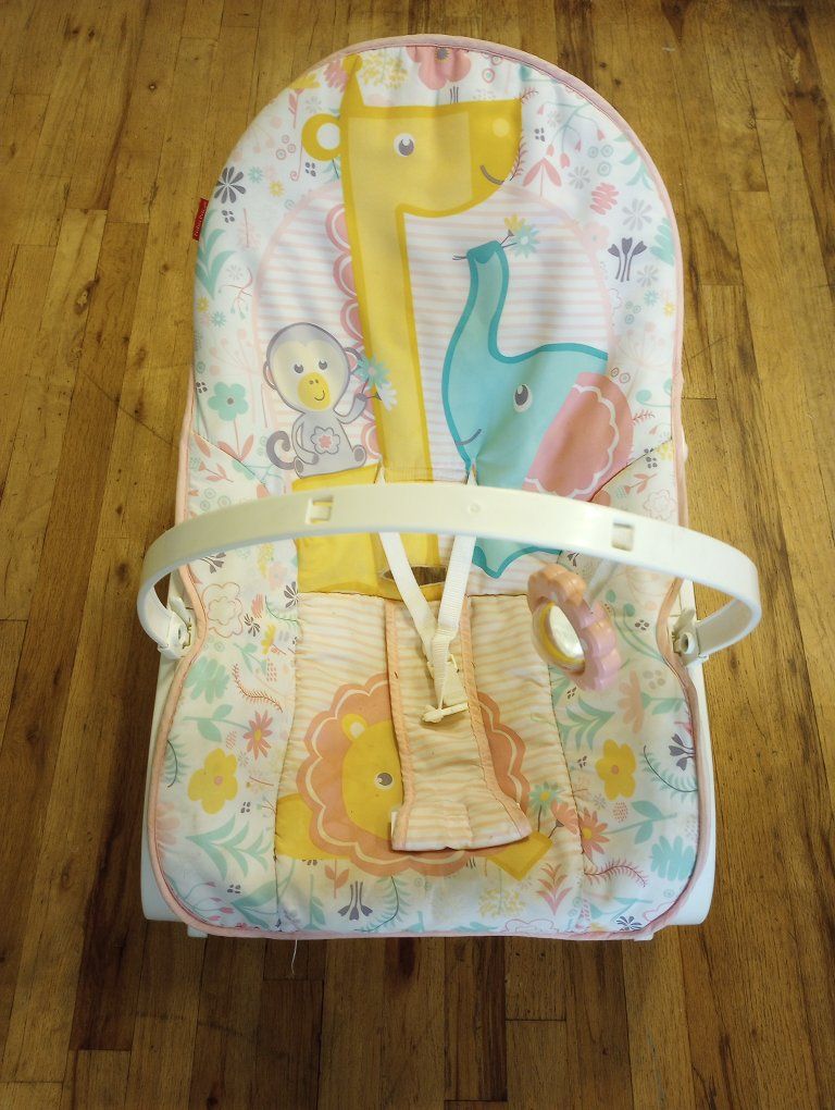 Fisher-Price Infant Bouncer Seat