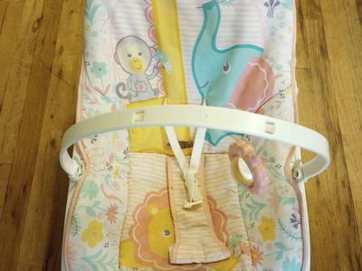 Fisher-Price Infant Bouncer Seat