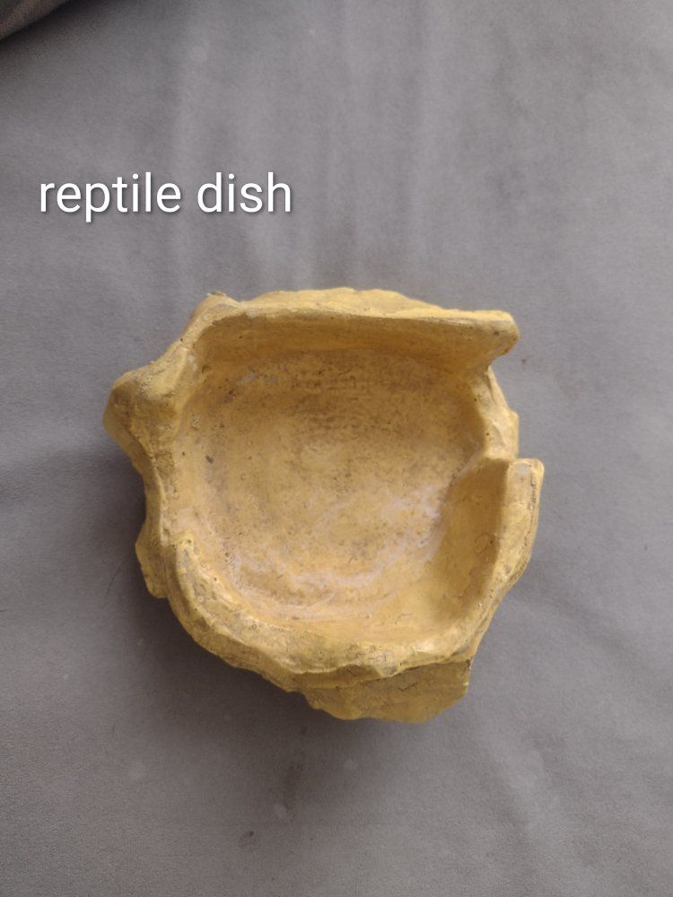 reptile dish