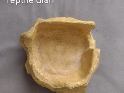 reptile dish
