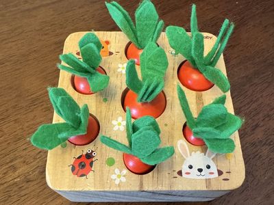 Montessori Carrot Pull game for Toddlers