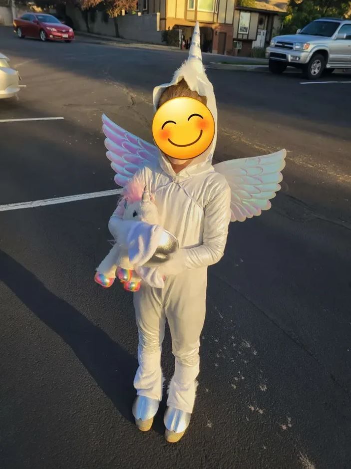 Unicorn / Alicorn Costume - Kids size small (5-7 yrs)