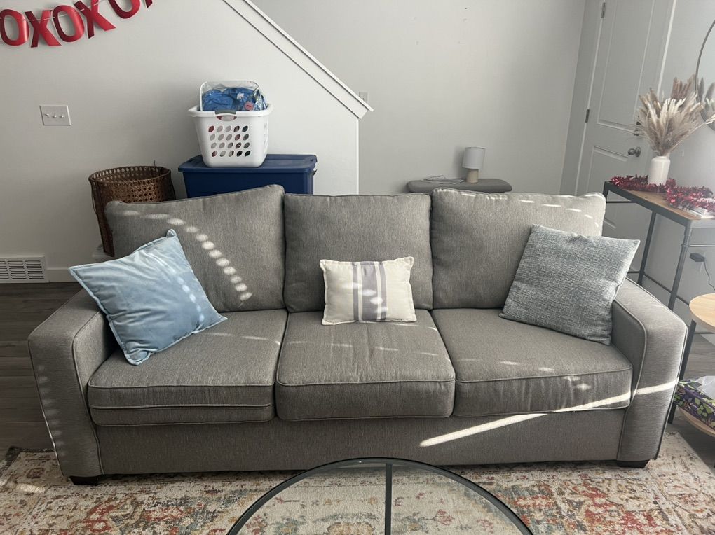 Gray Couch - $100