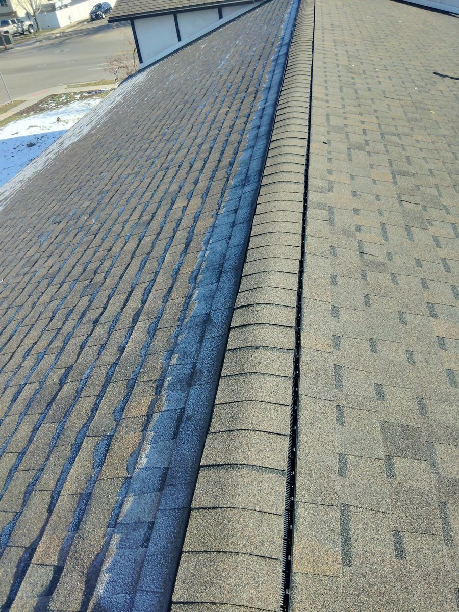 Beehive roofing solutions