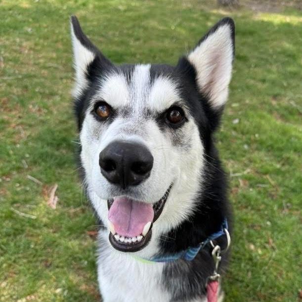 Hello my name is Malachi