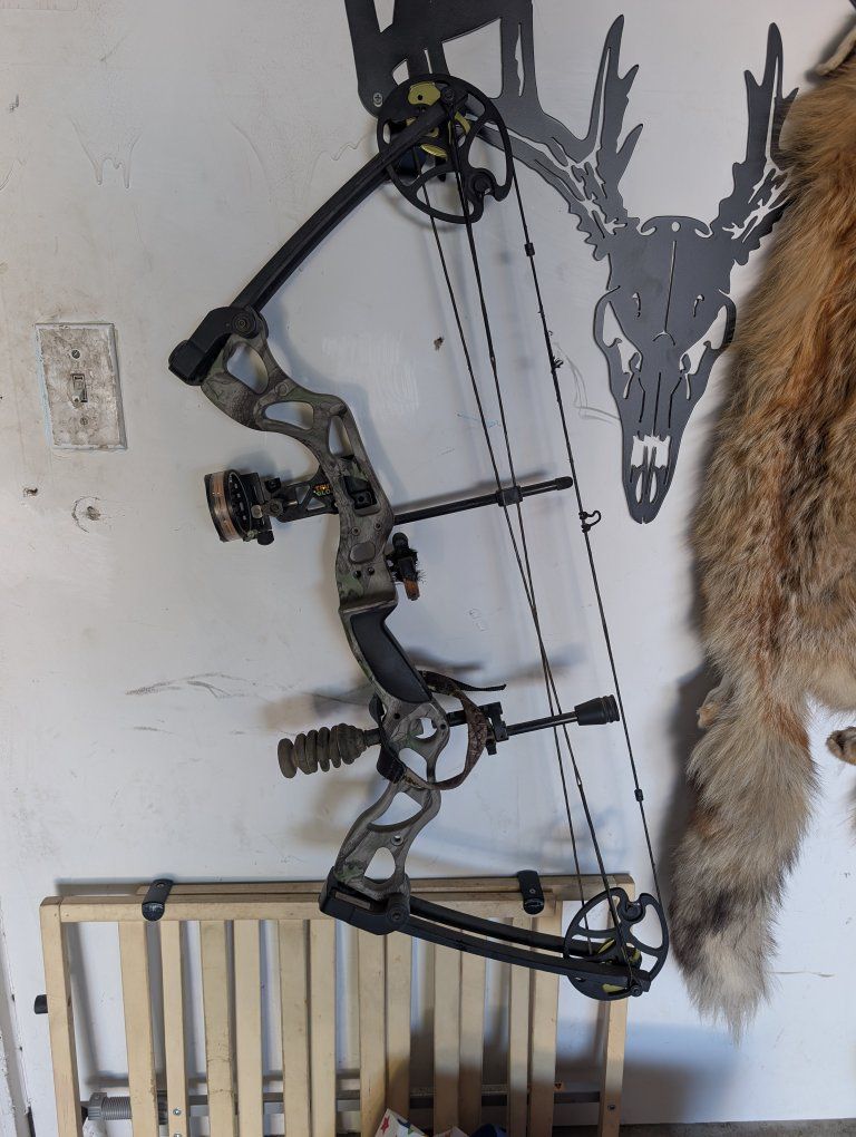 Great Starter Bow
