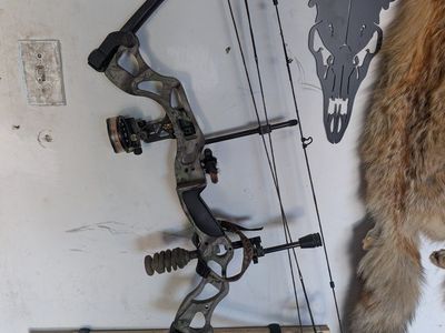 Great Starter Bow
