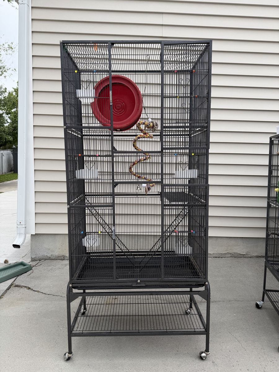 Assorted Bird/Rodent enclosures
