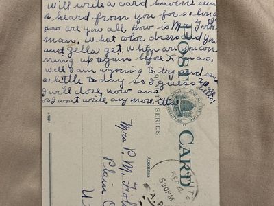 Vintage Postcard Sego Lily Utah’s State Flower: Handwritten Letter to Mrs. P.M. Folkman, Plain City, Utah - Dec 4, 1911