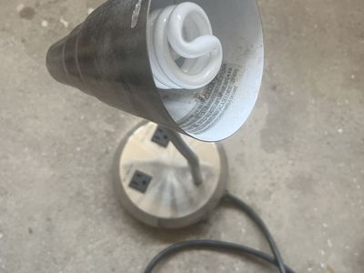 Desk Lamp with Built-In Outlets