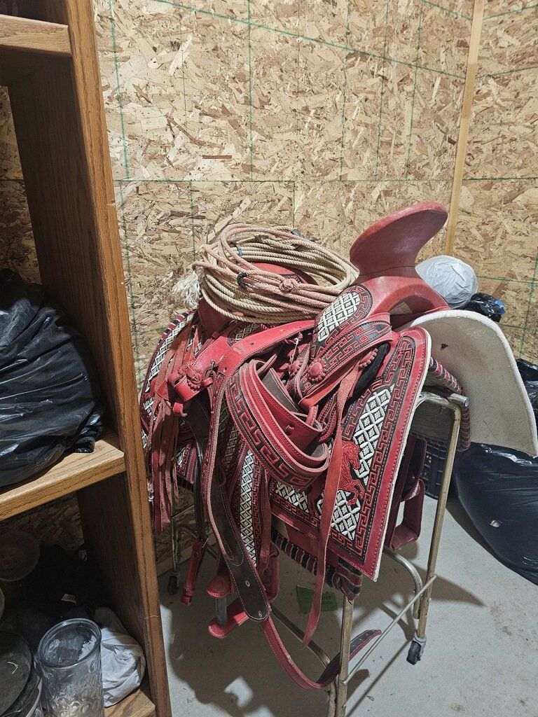 Horse Saddle