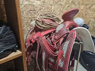 Horse Saddle