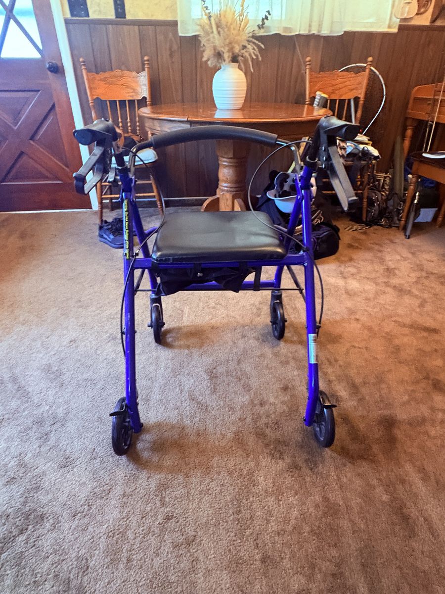 Blue Drive walker
