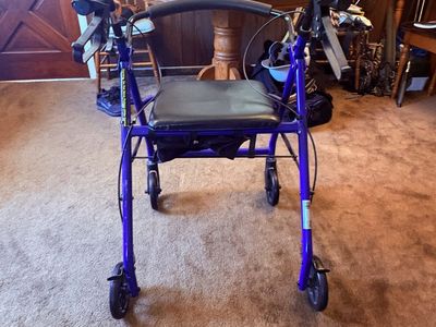 Blue Drive walker