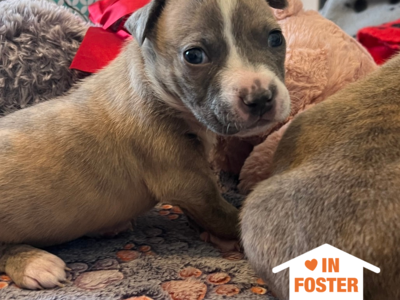 Hello my name is Oner