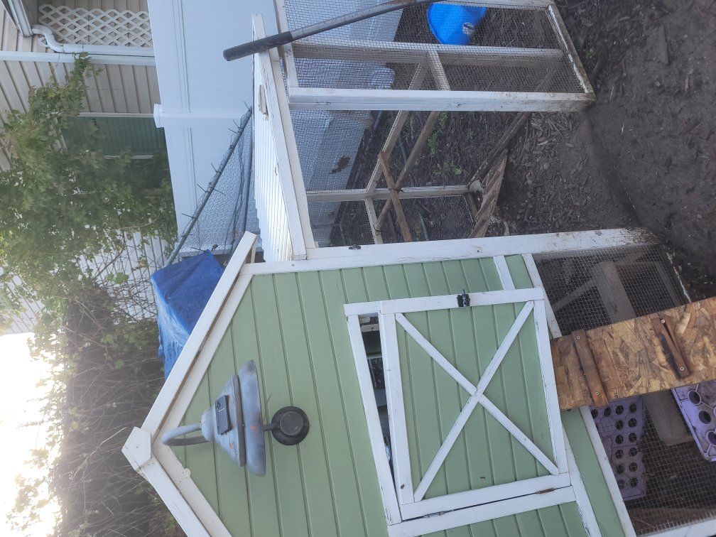 chicken coop plus fence enclosure