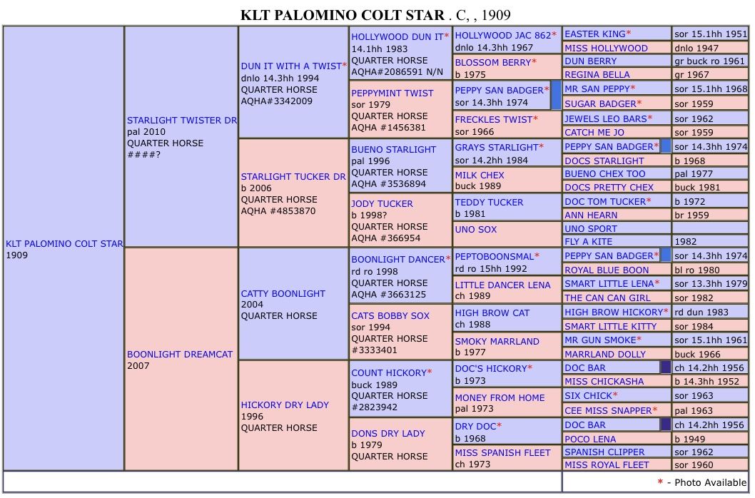 Main image 6