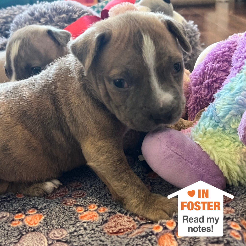 Hello my name is Canon