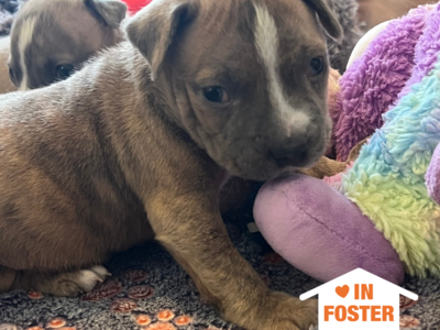 Hello my name is Canon