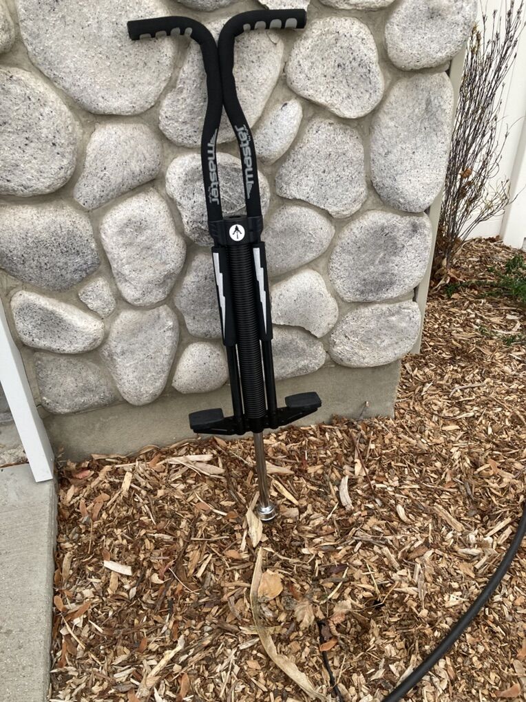 Flybar Pogo Stick For 80-160 Pounds