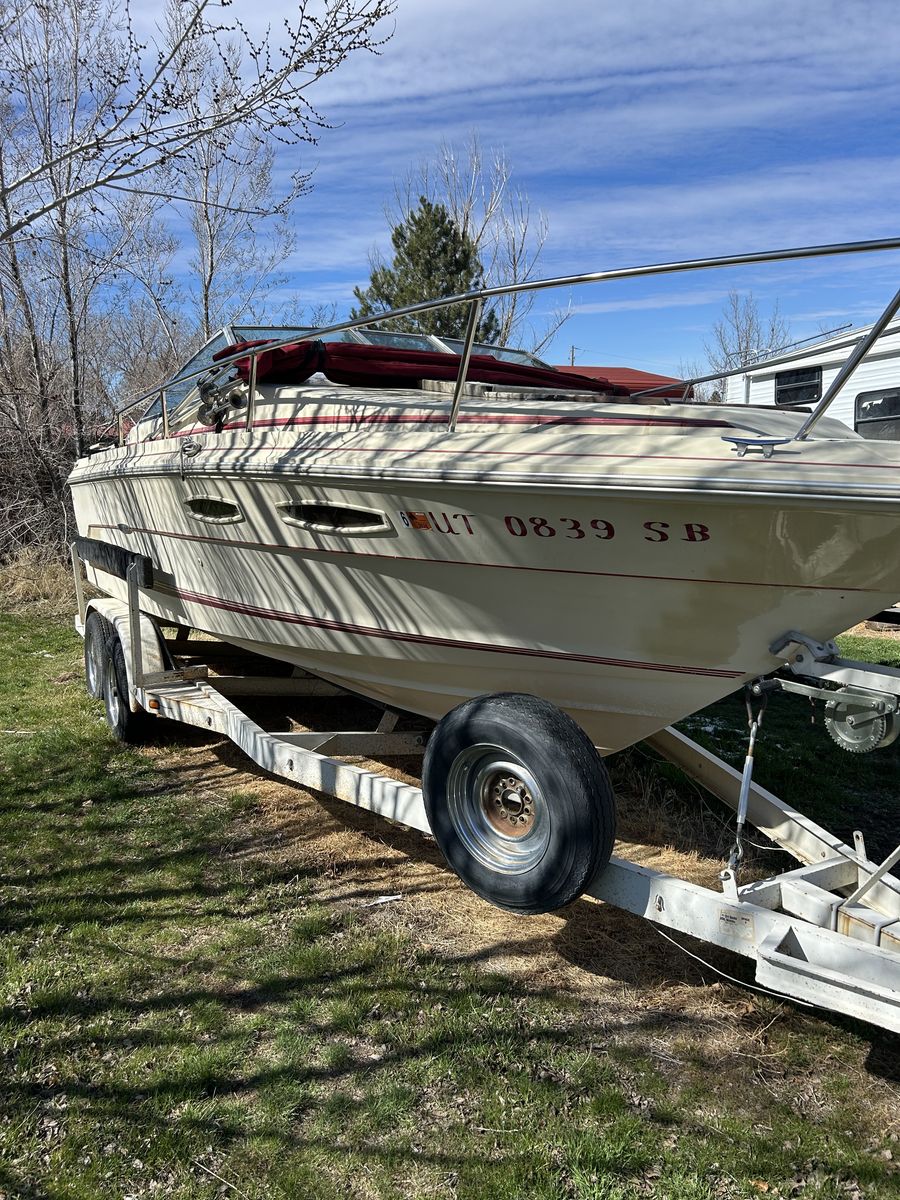 1984 Searay Cuddy