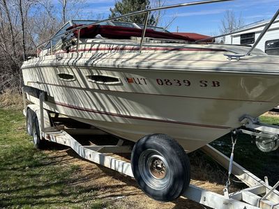 1984 Searay Cuddy