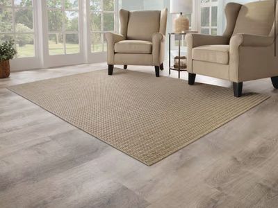 $69 LESS THAN HOME DEPOT! BRAND NEW IN PACKAGING Home Decorators Collection 6’6” x 9’ Indoor/Outdoor Area Rug in Beige